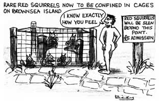 Cartoons by Ricky  Studland United Nudists