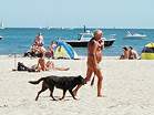 Dogs are allowed along the South West Coastal Path  Studland United Nudists