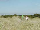 Police pay special attention to the dunes by the National Trust posts  Studland United Nudists