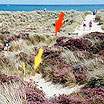 Heather Walk is only yards from the restricted nudist area  Studland United Nudists