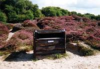 Litter bin on Footpath 6 (recycling bin now also provided)  Studland United Nudists