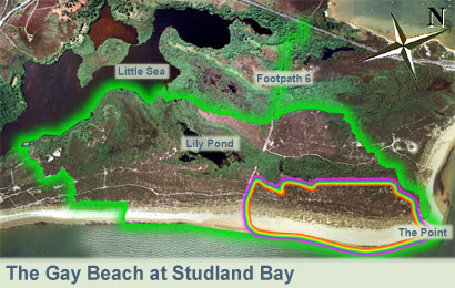 The Gay Beach at Studland