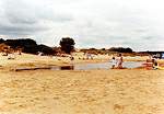 Shell Bay is popular with families  Studland United Nudists